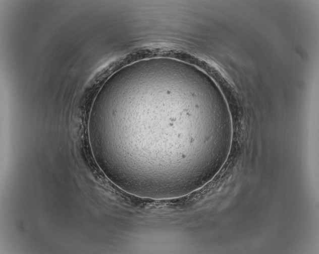 X0000112790967200908281503