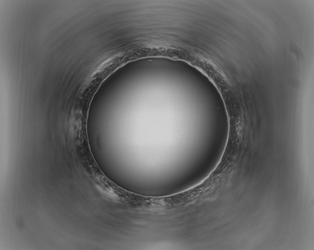 X0000112790968200908281503