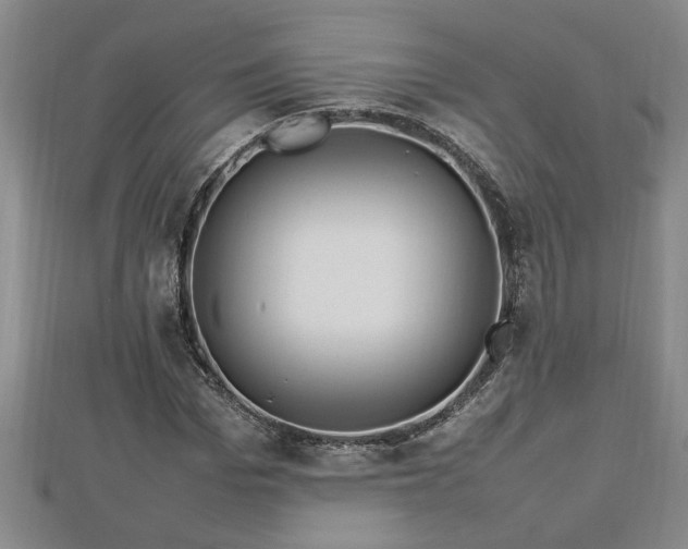 X0000112790969200908281503