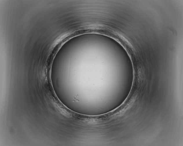 X0000112790970200908281503