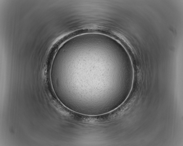 X0000112790971200908281503