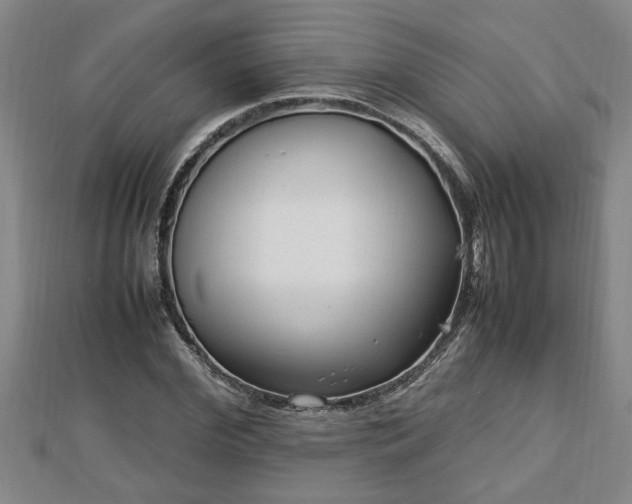 X0000112790972200908281503