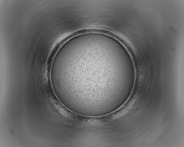 X0000112790974200908281503