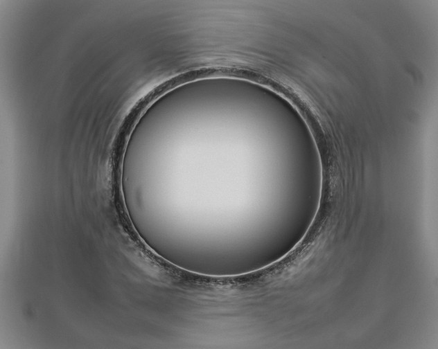 X0000112790975200908281503