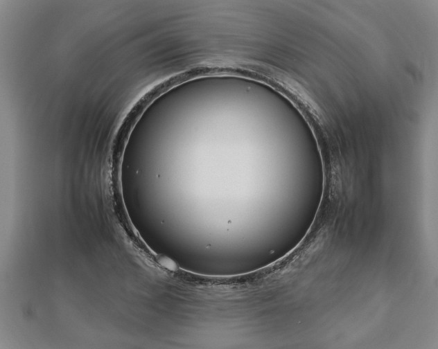 X0000112790976200908281503