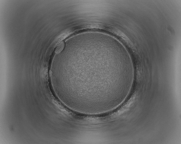 X0000112790977200908281503