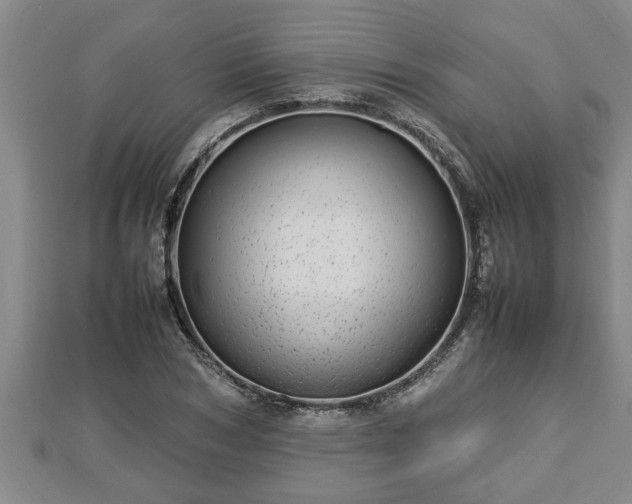 X0000112790978200908281503