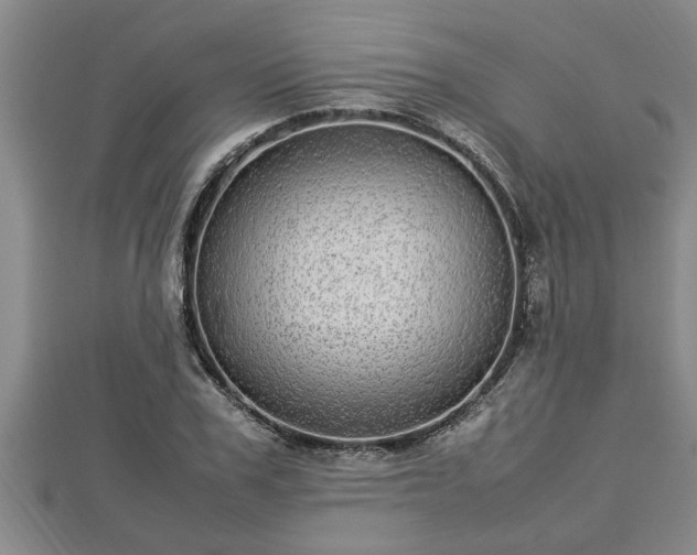 X0000112790979200908281503