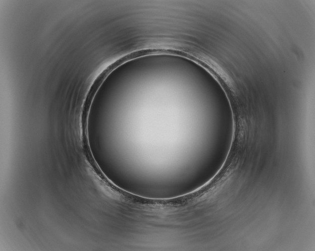 X0000112790980200908281503