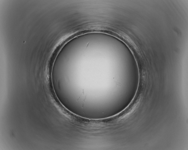 X0000112790981200908281503