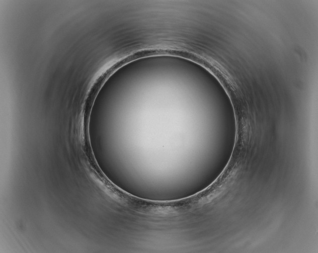 X0000112790982200908281503