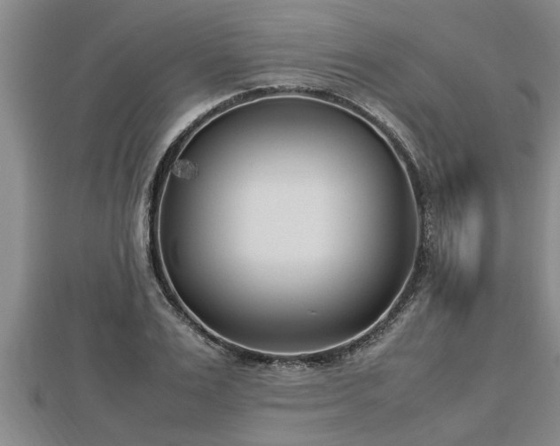 X0000112790983200908281503