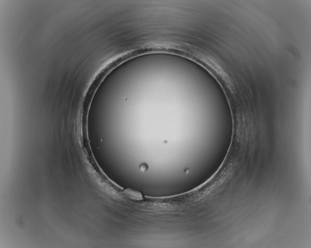 X0000112790984200908281503