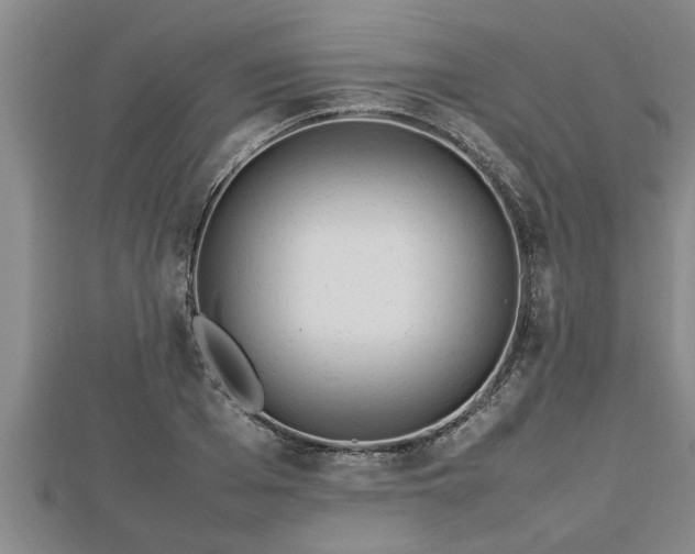 X0000112790985200908281503