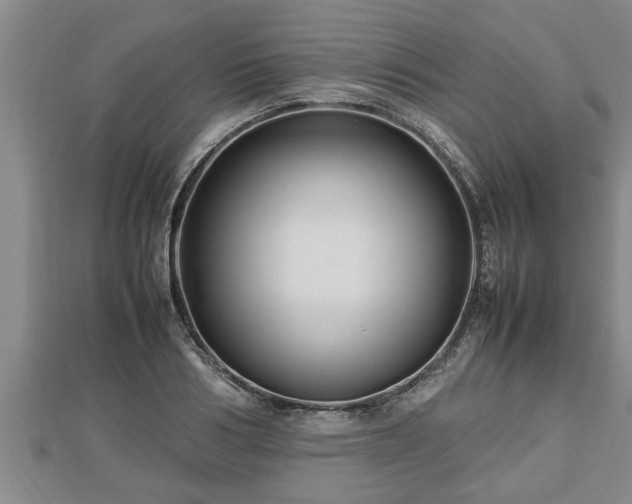 X0000112790986200908281503