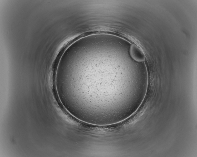 X0000112790987200908281503