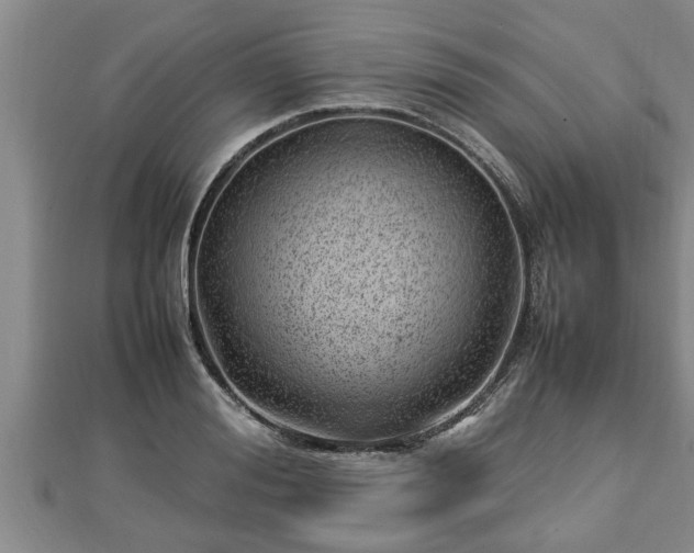 X0000112790988200908281503