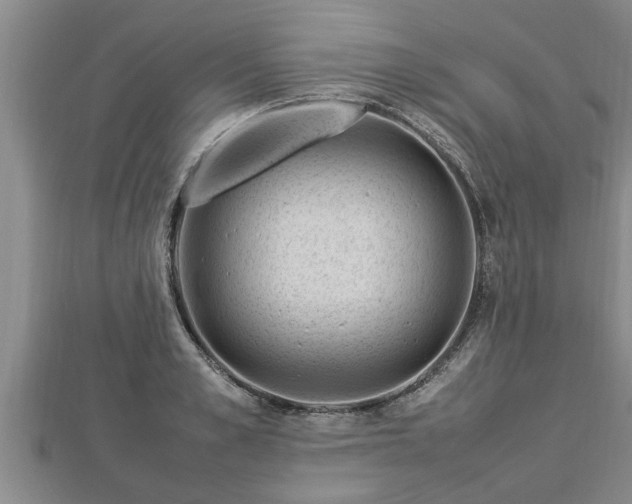 X0000112790989200908281503