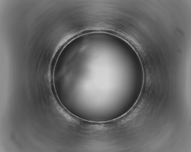 X0000112790990200908281503