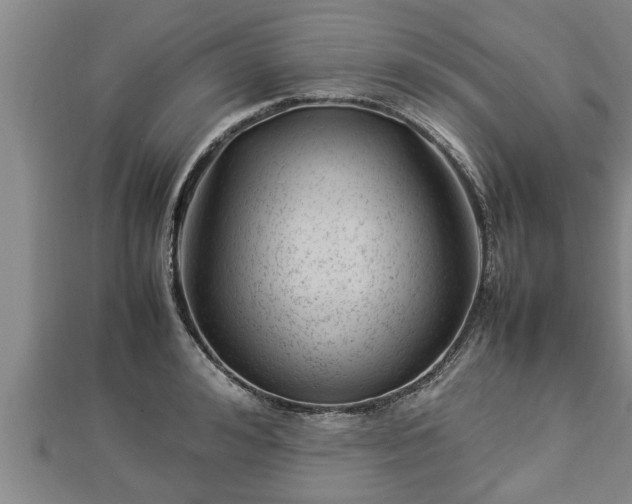 X0000112790992200908281503