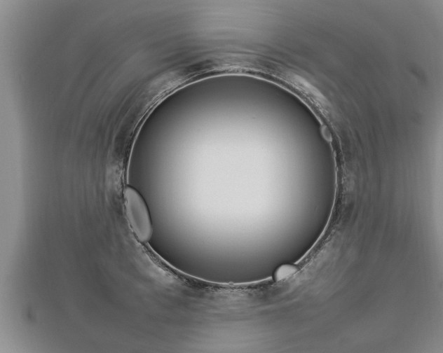 X0000112790993200908281503