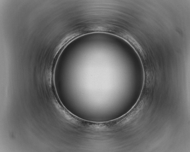 X0000112790994200908281503