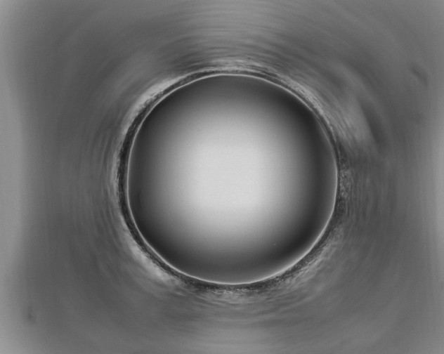 X0000112790995200908281503