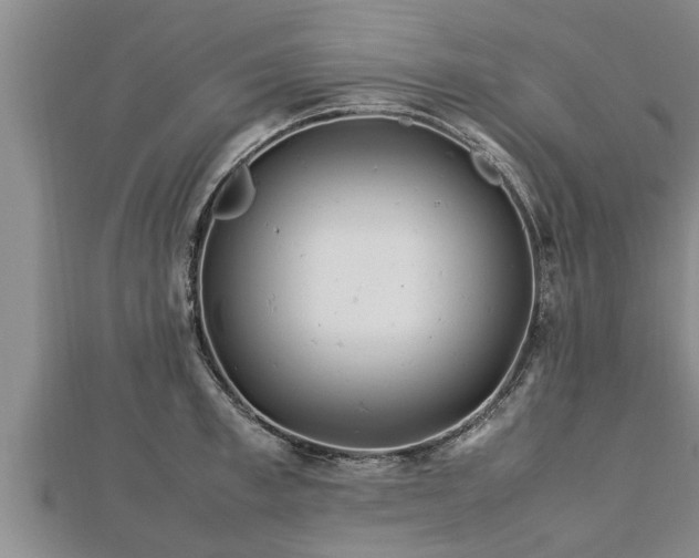 X0000112790997200908281503