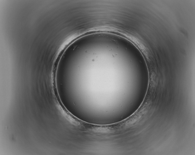 X0000112790998200908281503