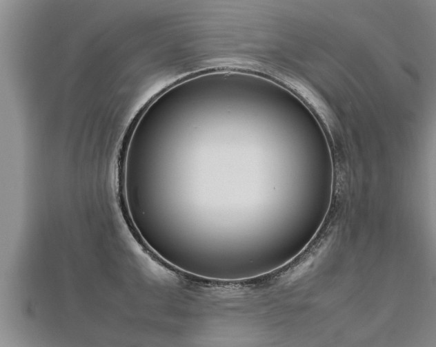 X0000112790999200908281503