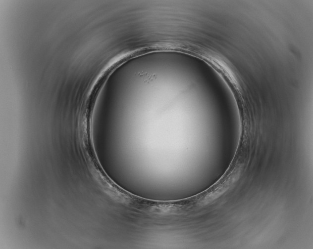 X0000112791000200908281503