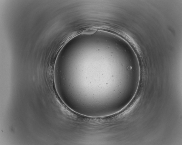 X0000112791001200908281503