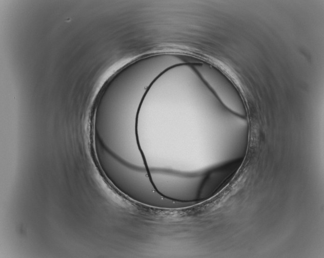 X0000112791003200908281503