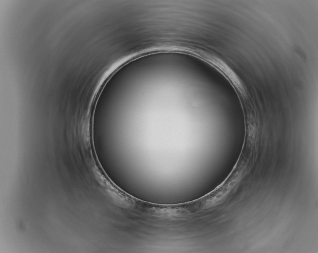 X0000112791004200908281503