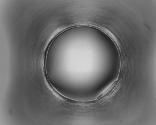 X0000112791005200908281503