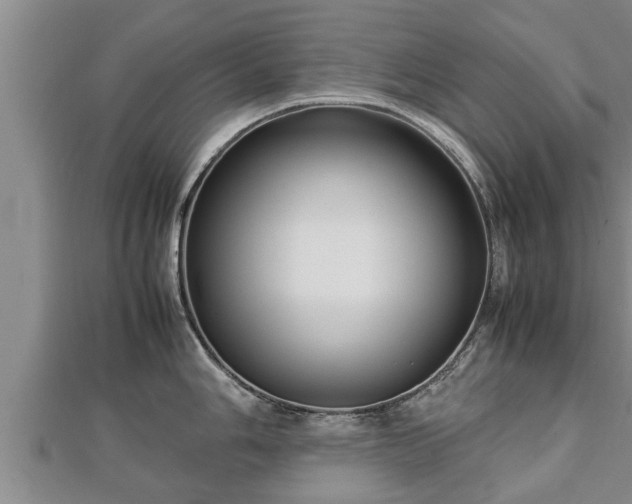 X0000112791006200908281503