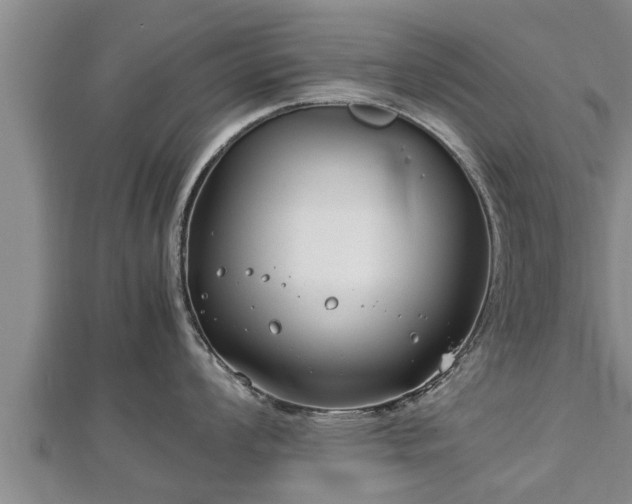 X0000112791008200908281503