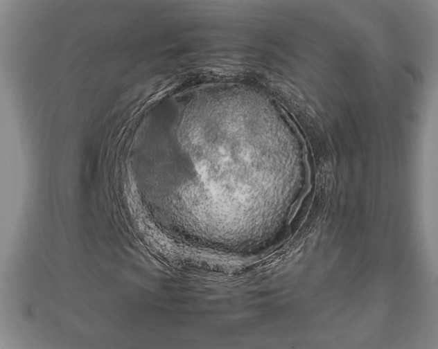 X0000112791009200908281502