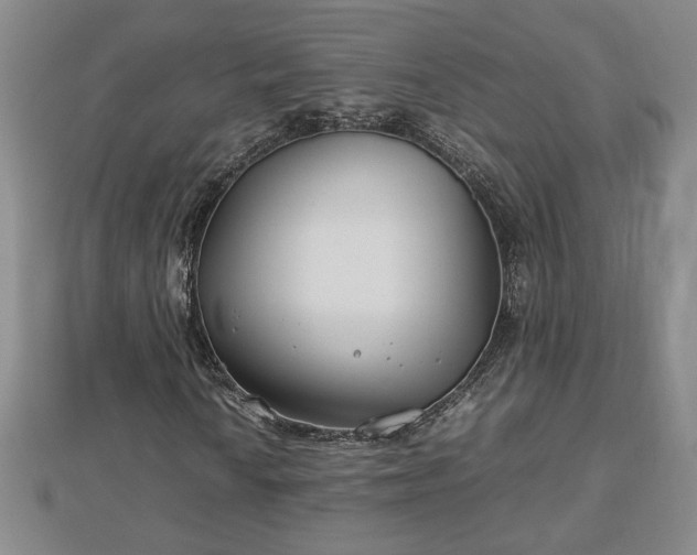 X0000112791010200908281502