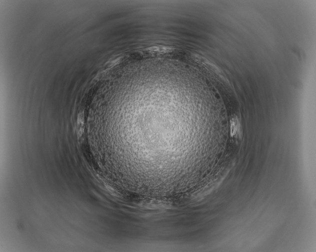 X0000112791011200908281502