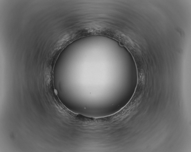 X0000112791012200908281502