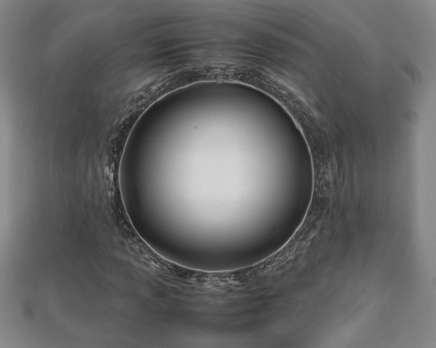 X0000112791013200908281502