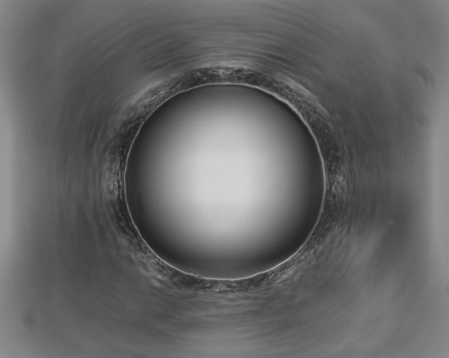 X0000112791014200908281502