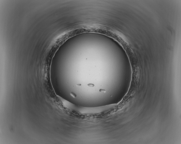 X0000112791016200908281502