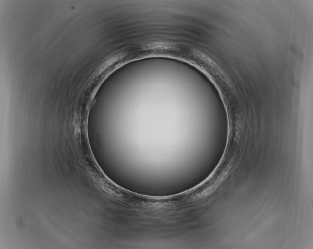 X0000112791017200908281502