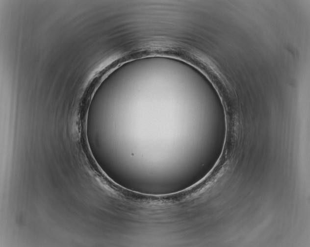 X0000112791018200908281502