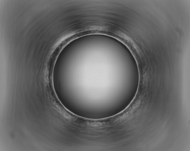 X0000112791019200908281502