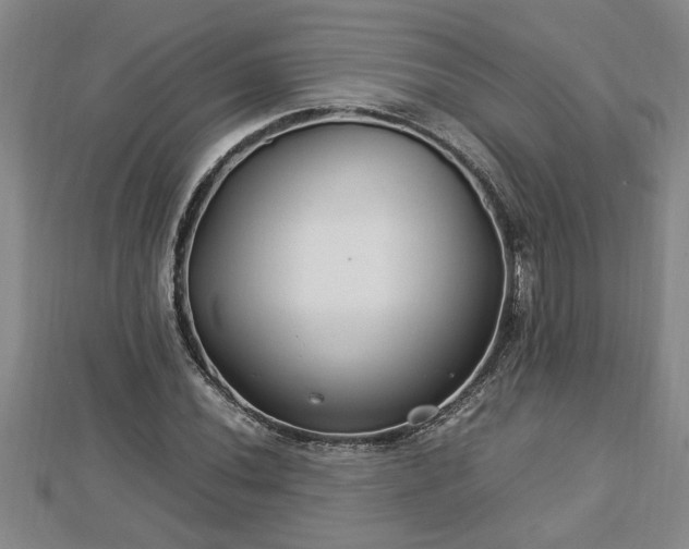 X0000112791020200908281502