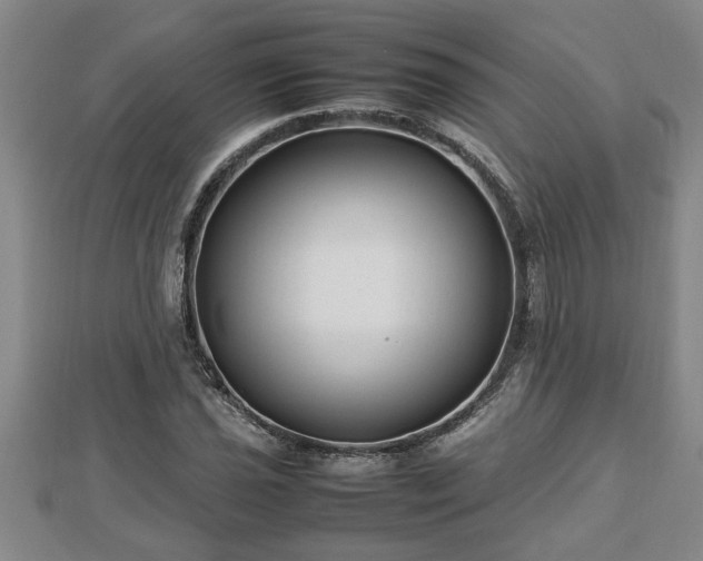 X0000112791021200908281502