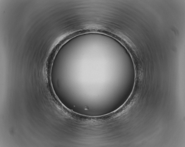 X0000112791022200908281502